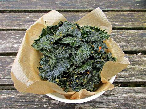 40+ Stinging Nettle Recipes (without the sting!)