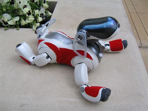 aibo, Robot Wallpapers HD / Desktop and Mobile Backgrounds