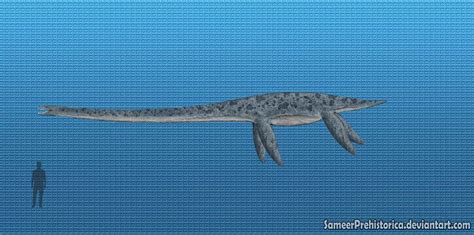 10 Facts About Elasmosaurus