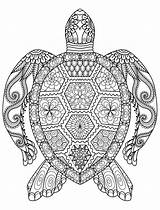 20 Gorgeous Free Printable Adult Coloring Pages …  sketch template