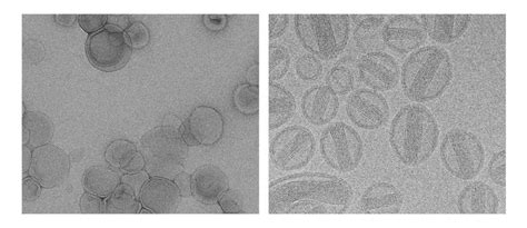 Be Prepared: Use and Misuse of Sample Preparation Techniques for TEM - Advanced Science News