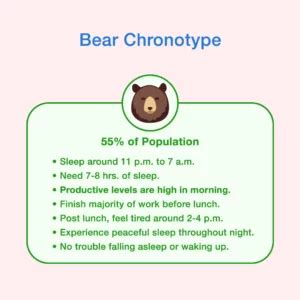 What Is Chronotype Types, & Effect On Sleep | Nectar Sleep