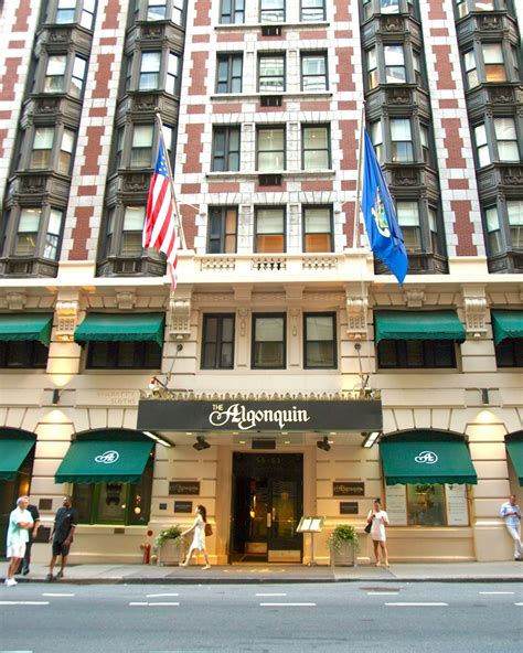 My Trip to NYC | The Algonquin Hotel | Algonquin hotel, Algonquin, Hotel