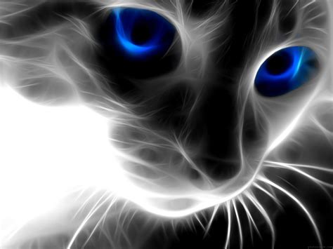 🔥 Download Black Cat Blue Eyes Wallpaper Full HD by @edwardharrington | Blue Eyes Wallpaper ...