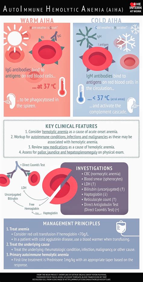 Brown Hospital Medicine on Twitter: "Autoimmune hemolytic anemia ...