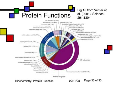 PPT - Protein Function PowerPoint Presentation, free download - ID:5488482