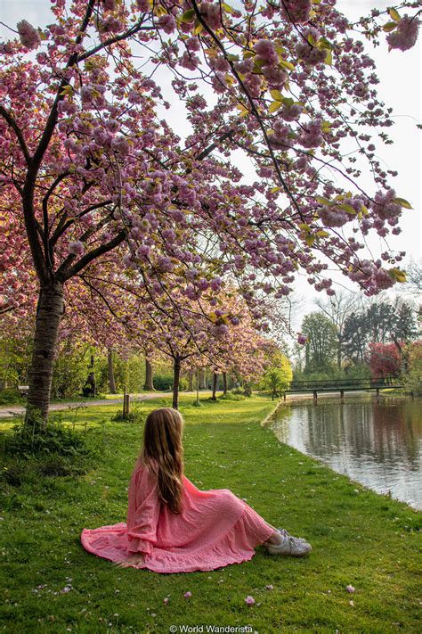 10 most beautiful gardens and parks in Belgium - World Wanderista