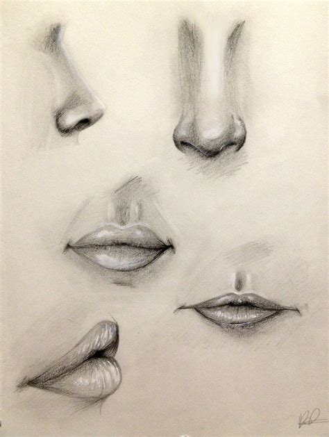 Nose and Lip Practice by Kaspiian.deviantart.com on @DeviantArt Sketch Nose, Eye Sketch, Pencil ...