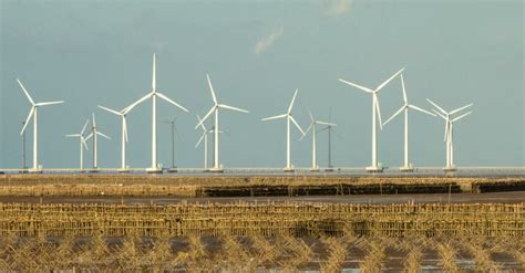 10 Examples of Wind Energy with Advantages in 2023 | Linquip