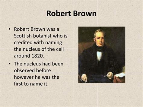 PPT - The Cell Theory PowerPoint Presentation, free download - ID:6446199