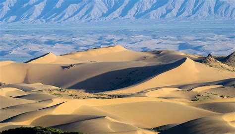 Birding the Backcountry: Wulan County, Qinghai - Shanghai Birding 上海观鸟