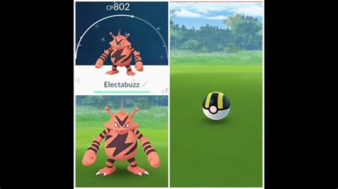 13 Shiny Electabuzz (Pokemon Go) (November 2020 / Electabuzz Community ...