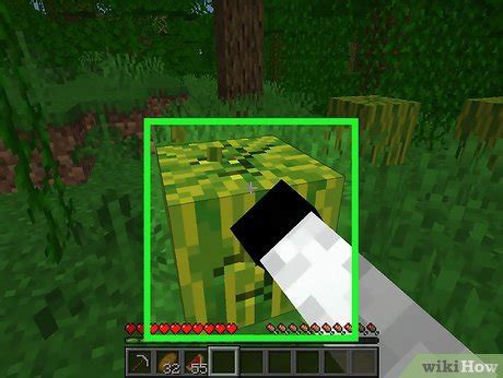 How to Find Melon Seeds in Minecraft: 8 Different Places