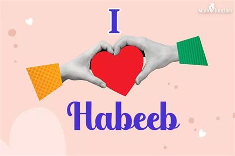 Explore Habeeb: Meaning, Origin & Popularity