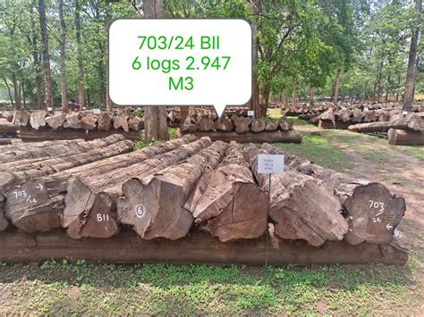 Nilambur Forest Teak Timber at Rs 12000/cubic feet | Malappuram | ID: 2854194560862