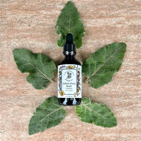 Yellow Dock Tincture, 2oz - Z Botanicals Apothecary & Herbal Sanctuary