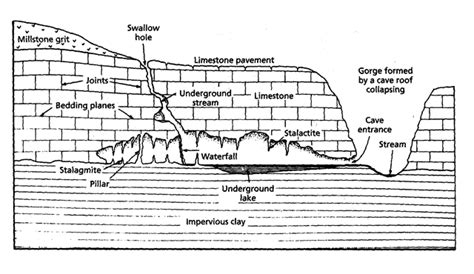 Limestone Caves Diagram