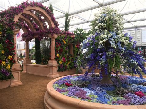 Chelsea Flower Show 2017 - Flamingo