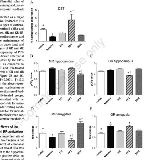 Glucocorticoid negative feedback and its molecular correlates. A ...