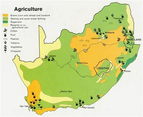 Interesting Look into South Africa's Agriculture! #agriculture #DoAgric ...