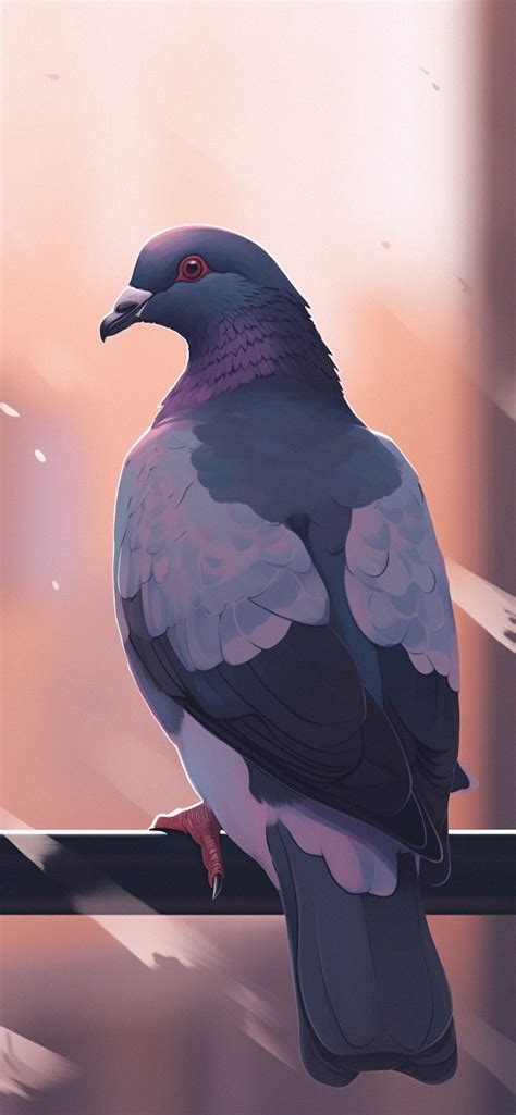 Aesthetic Pigeon Wallpapers - Cool Pigeon Wallpapers for iPhone