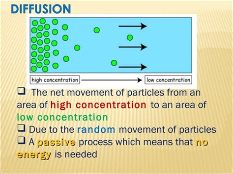 Osmosis | PPT