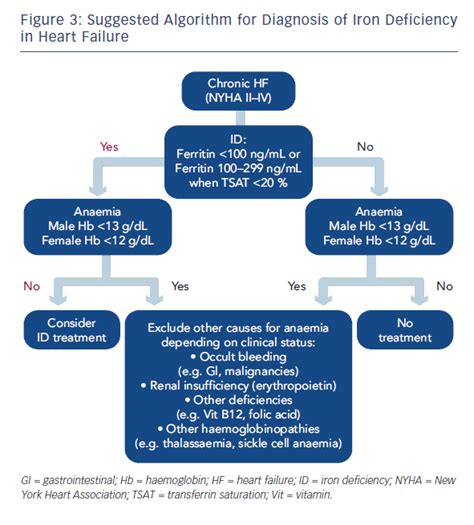 Suggested Algorithm for Diagnosis of Iron Deficiency in Heart Failure ...