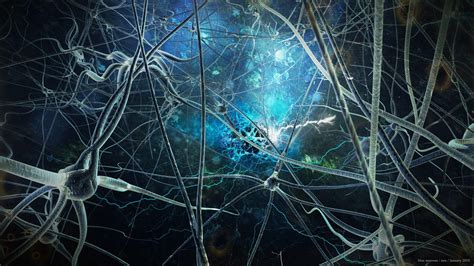 Neuron Wallpapers - Top Free Neuron Backgrounds - WallpaperAccess