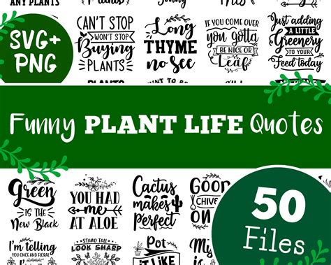 50 Funny Plant Life Quotes and Sayings - Etsy Ireland