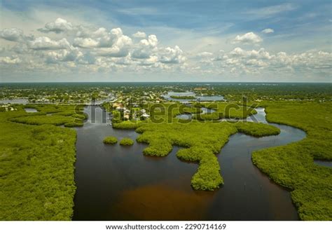 3,280 Wildlife Biology Florida Images, Stock Photos, 3D objects ...