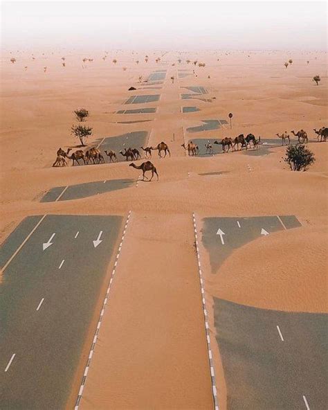 Sand storm after effects ! | Deserts of the world, Mother nature, Photo