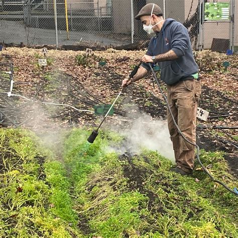 Meet the Flame Weeder: Why We're Using Fire on the Farm - Fresh Roots