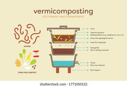 773 Composting Infographics Bilder, Stockfotos und Vektorgrafiken ...