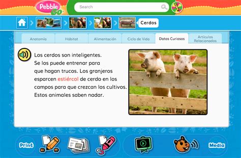 The Library Voice: PebbleGo Animales, Capstone's First Spanish Language Module, Is Available ...