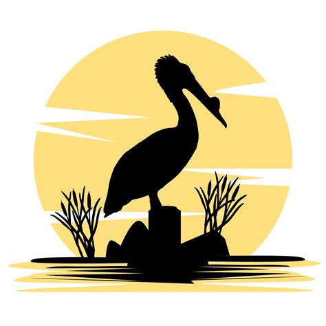 Pelican Sunset Silhouette Free Stock Photo - Public Domain Pictures