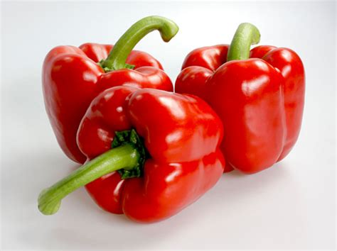 Hybrid Enza Zaden Coloured Capsicum Seeds, Packaging Type: Packet, Rs 5600 /packet | ID: 20611848530