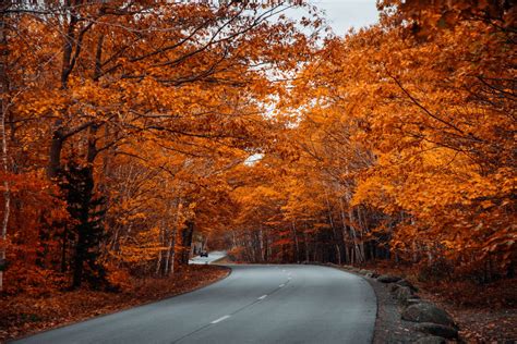 Your Guide to a Stunning Fall Foliage Road Trip — Maine 2022