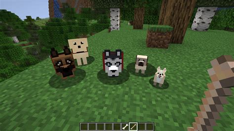 More Dogs (1.15.2) - Minecraft Mod Download