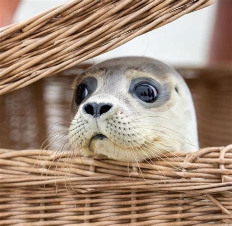 Nordsee: Acht Tipps für die Reise zum Weltwunder Wattenmeer - WELT