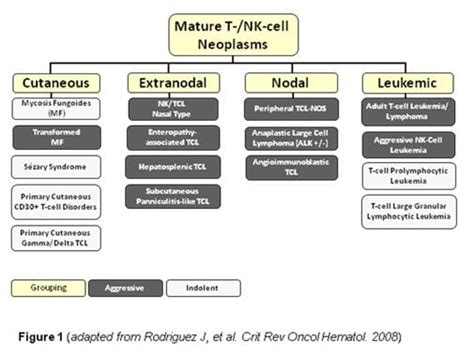 Subcutaneous T cell lymphoma - Alchetron, the free social encyclopedia