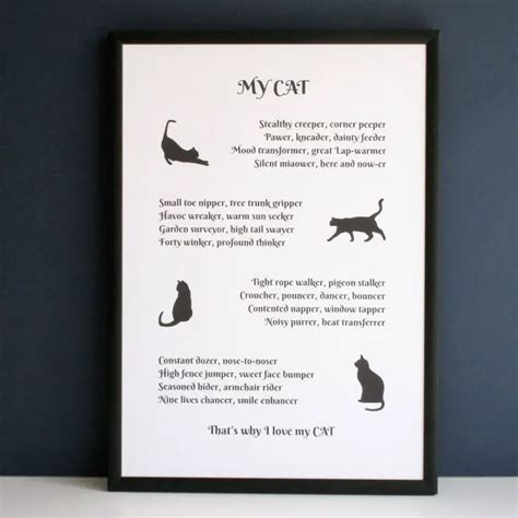 Cat funeral Poems