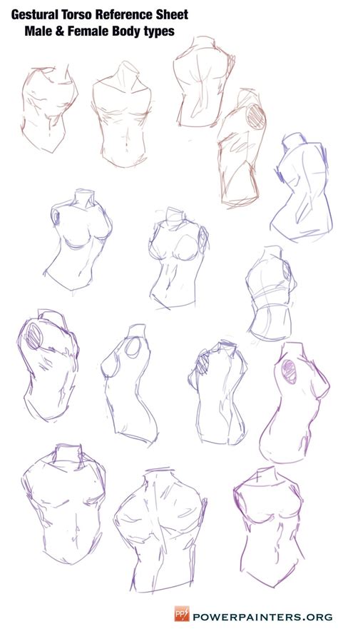 Hey Power Painters! Here are some torso sketches to use as a reference. It’s really helpful to ...