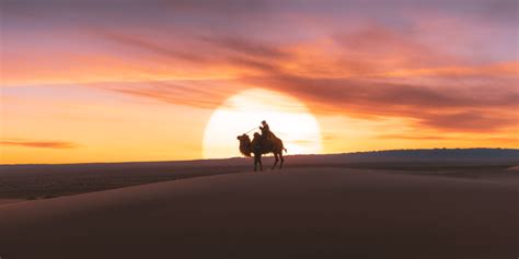 Riding the Rann: Exploring the White Desert of Kutch - Trip 2 Tour