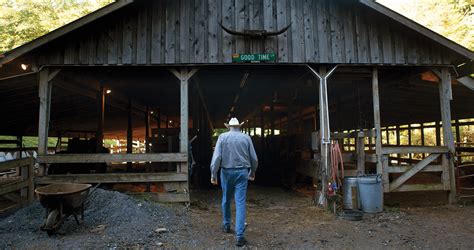 Cowboy Camp: Clear Creek Ranch – Our State Magazine