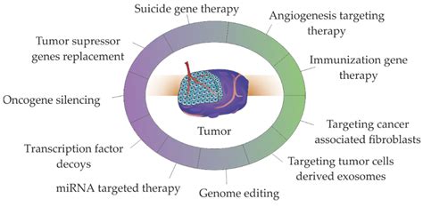 Gene Therapy in Cancer Treatment: Why Go Nano?