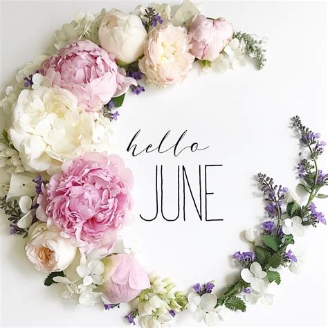 Pin by Melpo Siouti on Birth Flower Cottages | Hello june, June flower, Month flowers