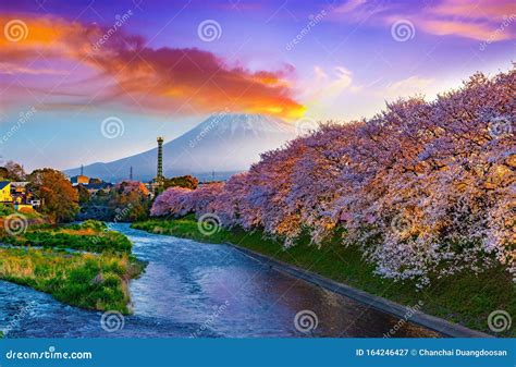 Sunrise at Mt. Fuji,spring and River with Cherry Blossoms in Japan Stock Image - Image of ...