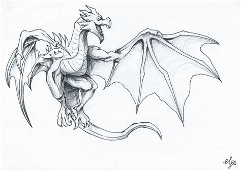 Flying Dragon Drawing at PaintingValley.com | Explore collection of ...