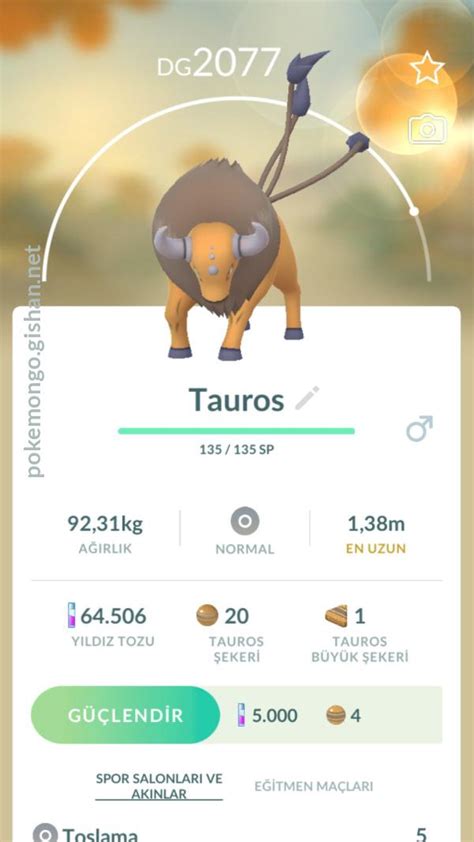 Shiny Tauros - Pokemon Go