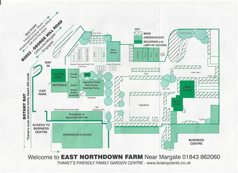 Chalk tolerant and coastal growing plants at East Northdown Farm Plant Nursery in Margate Kent ...